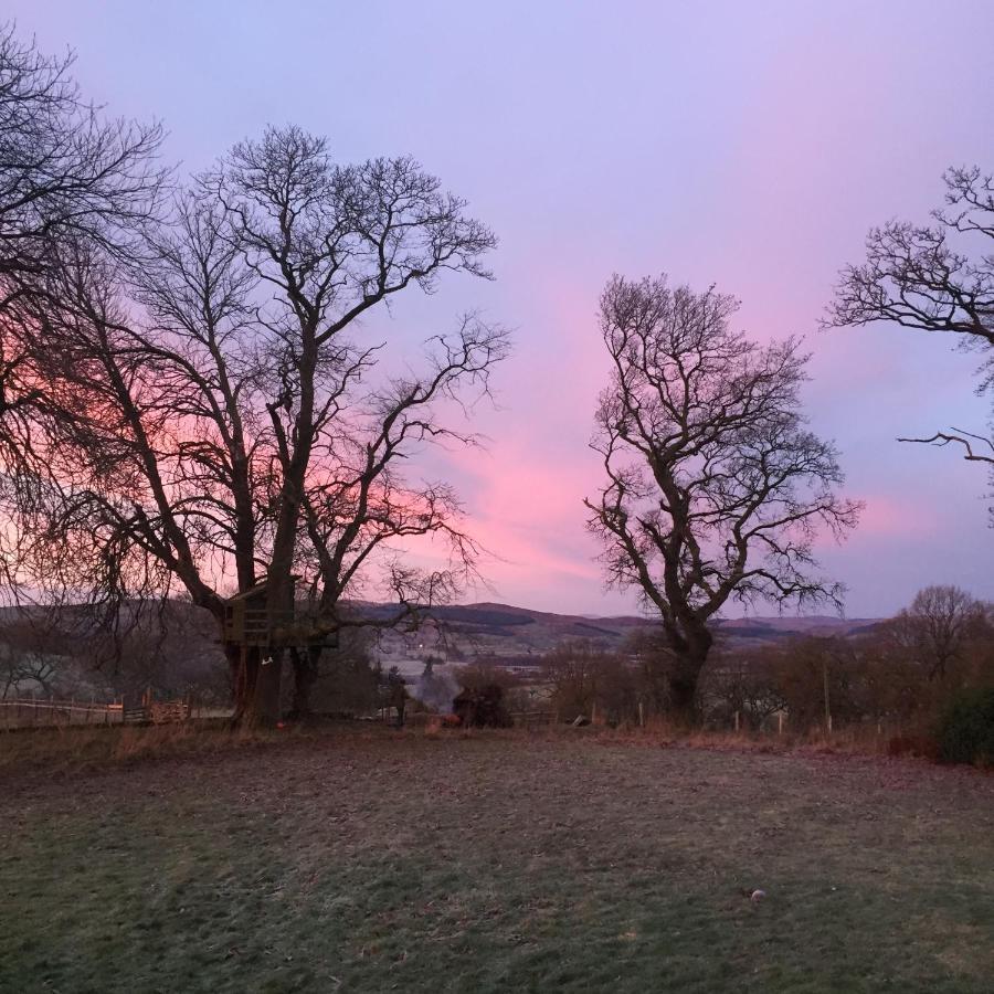 Willow Cottage, Gilchristland Organic Farm Closeburn Экстерьер фото